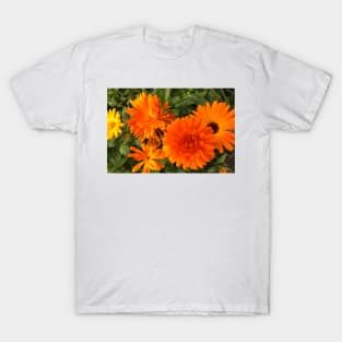 Calendula macro T-Shirt